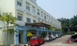 MNP 18 - PALM VIEW