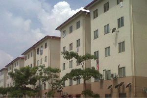 MNP 6