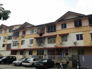 MNP4 - Taman Bunga Raya