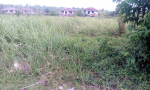 MNP 3 - PLOT 264, DARULAMAN HEIGHTS