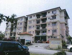 MNP21 - Halaman Murni