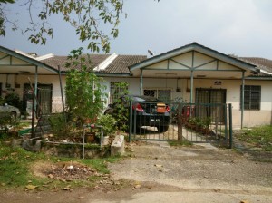 MNP6